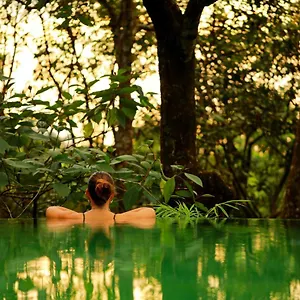 Resort Wayanad Wild - A Cgh Earth Experience